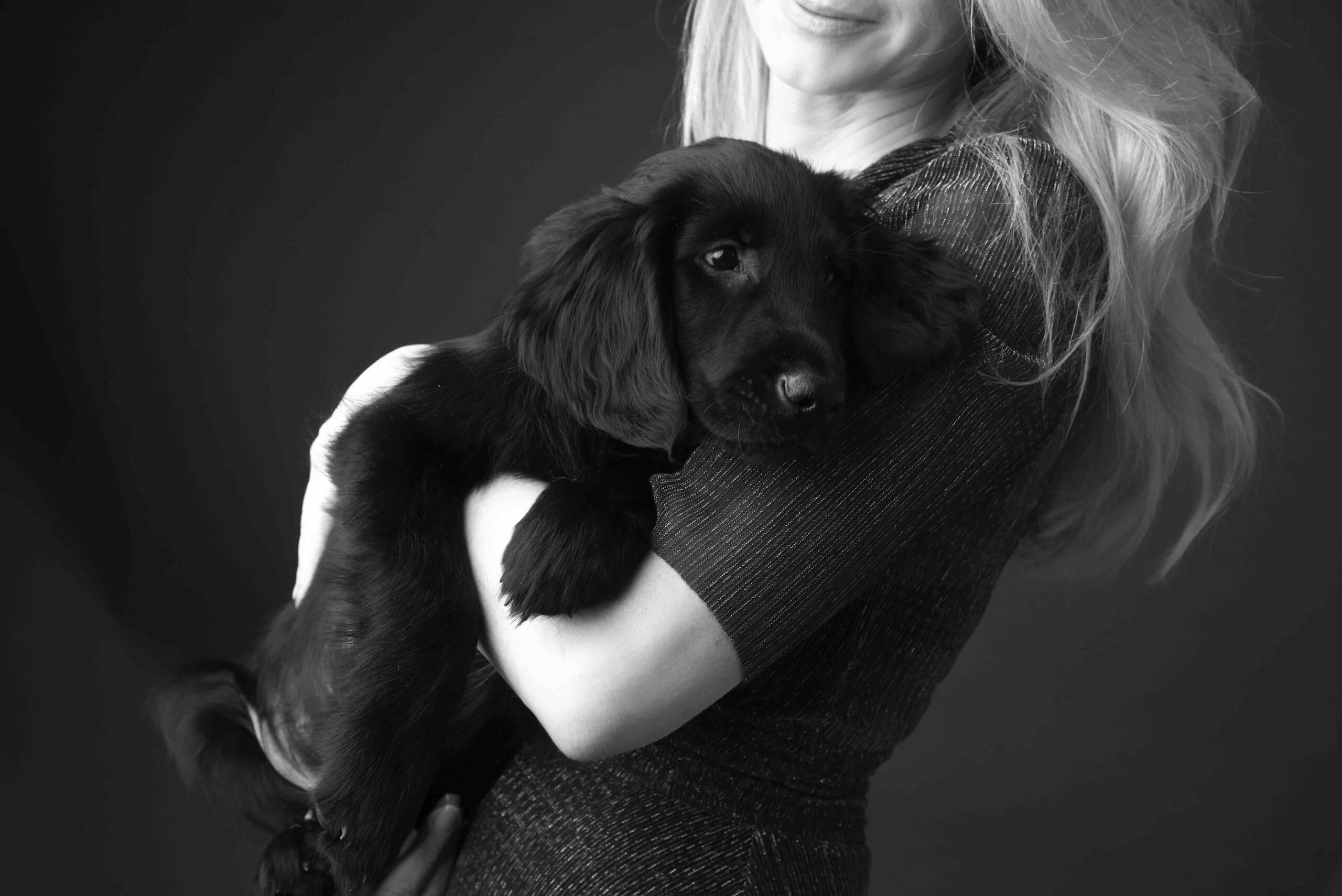 Coaching mit Tieren